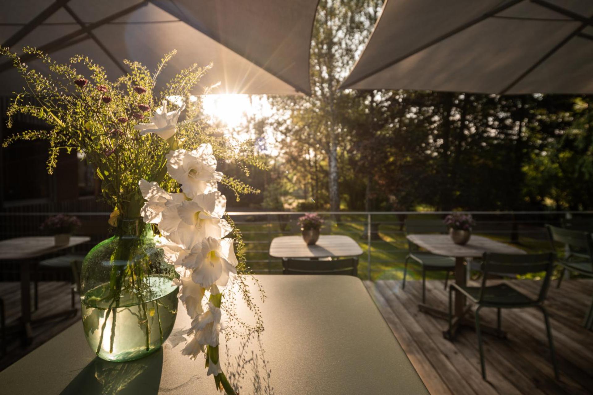 Hotel Sturm Bio- & Wellnesshotel In Der Rhoen Мелльрихштадт Экстерьер фото